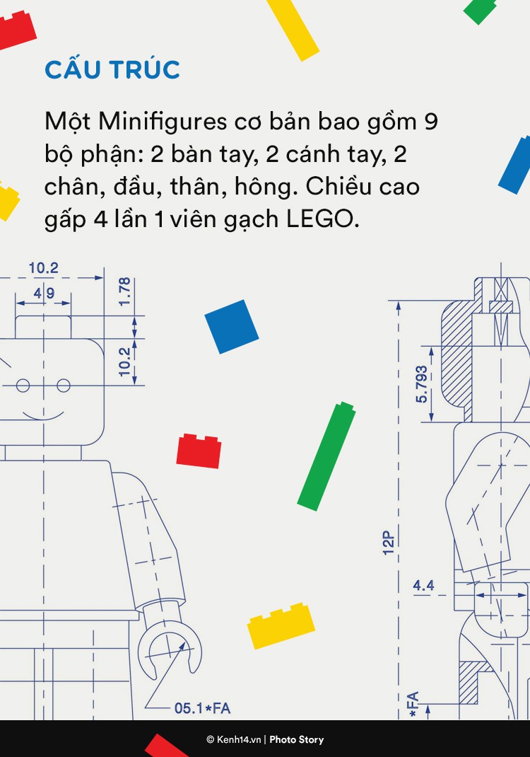 88840ecc70fac8e3dc5a.jpg