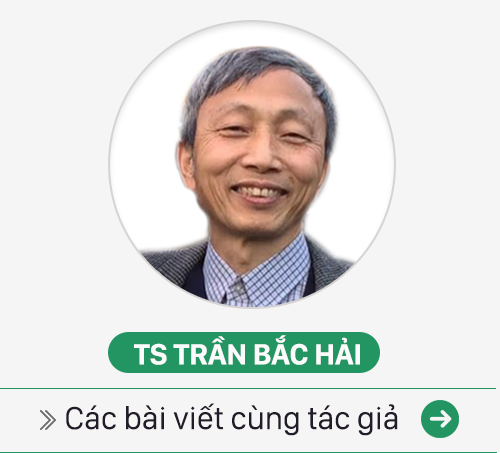88b773a33bea39246b80.png