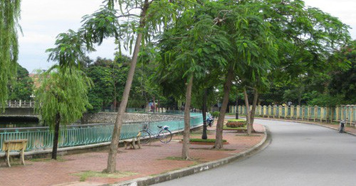 88ca46279737fad021f2.jpg