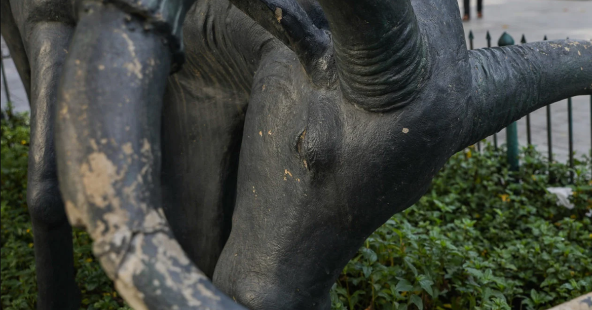 88f4a5494c00dfc95230.png