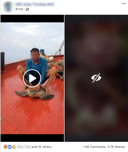 88fb99bab043688f1496.png