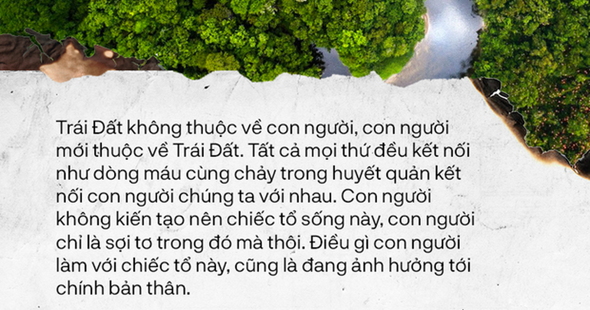 89300e5e0d93ed221bed.png