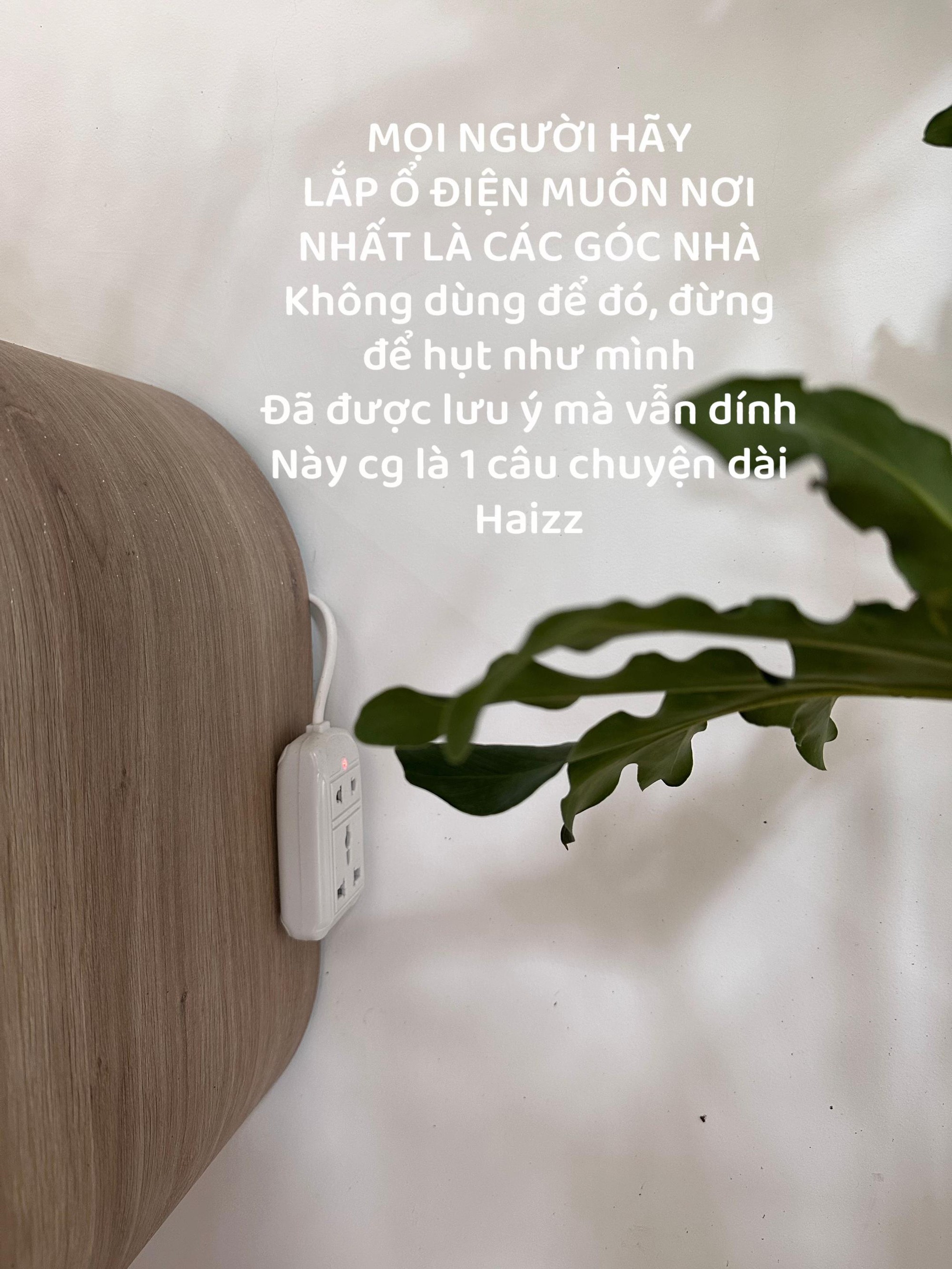 89430941461d83cc9390.jpg