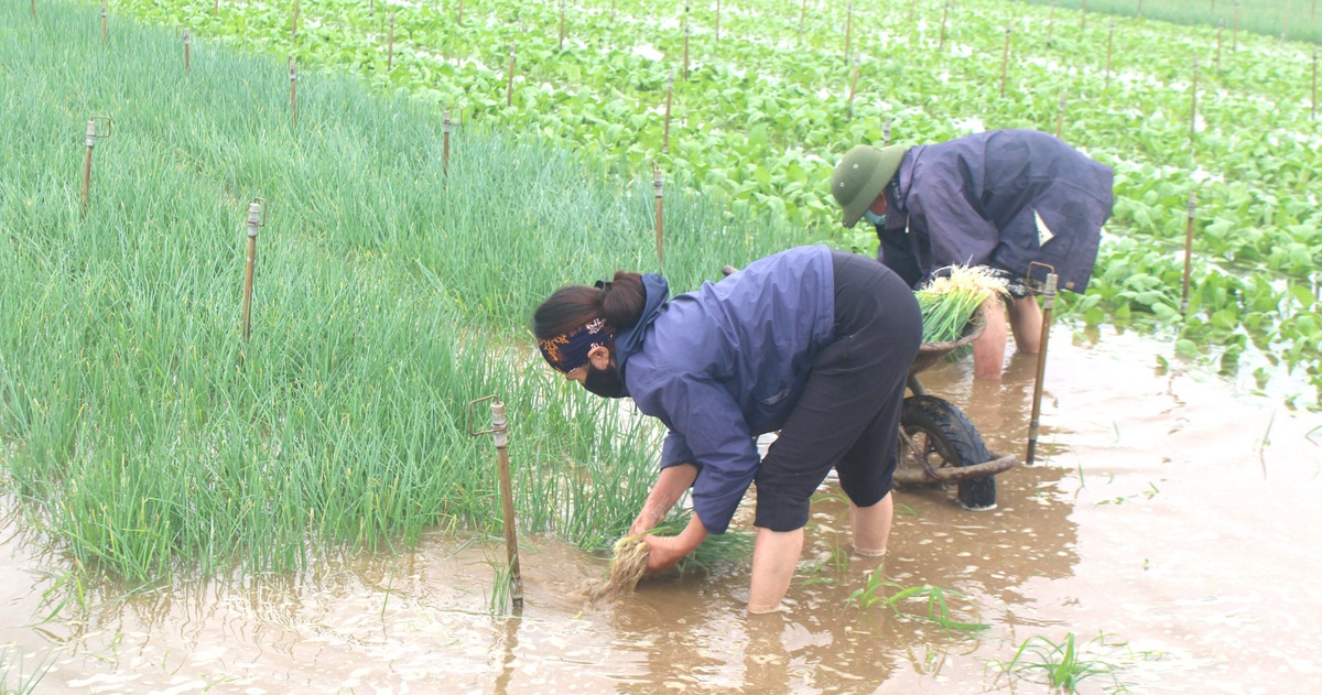 896e6652fdc7534ffb95.jpg