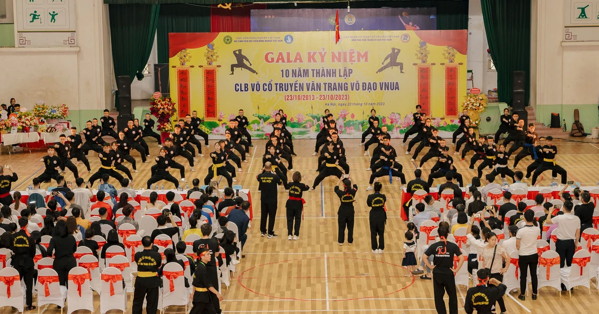 Cả một thập kỷ võ thuật truyền thống tại Học viện Nông nghiệp: Câu lạc bộ Văn trang võ đạo VNUA kỷ niệm 10 năm đầy cháy