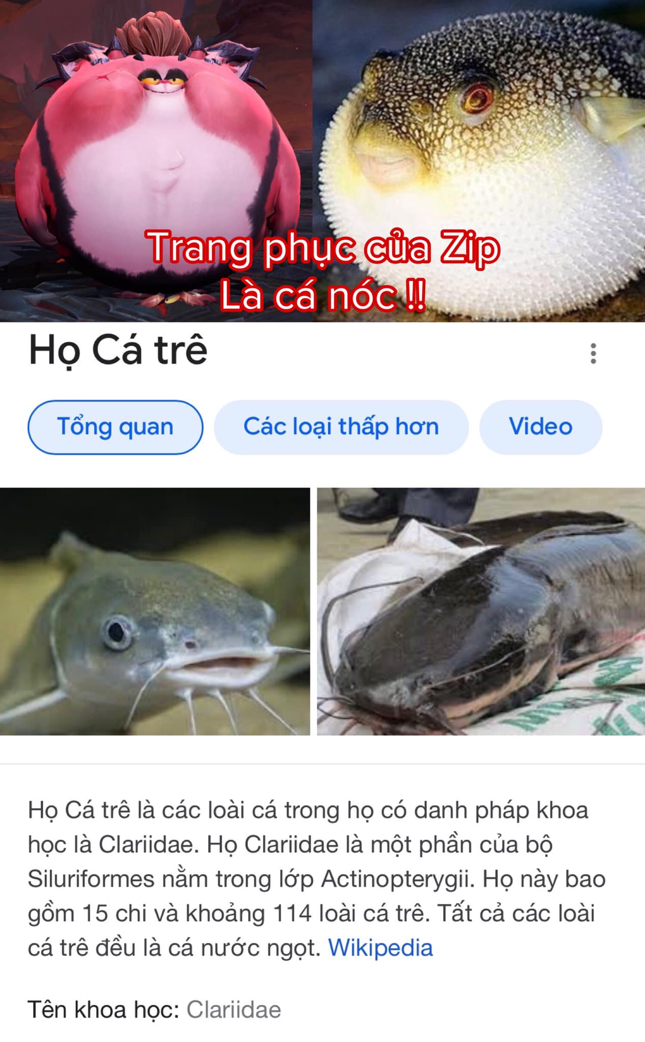 89e78d90b0d92908be8e.jpg