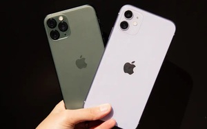 8a1df18716d5ec649c0e.jpg