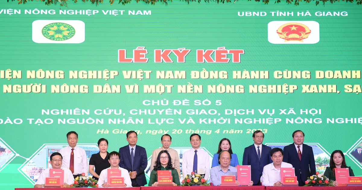 8a265709d82193e2cf55.webp