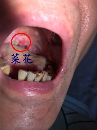 8a511fbc6b69b6fa8587.jpg