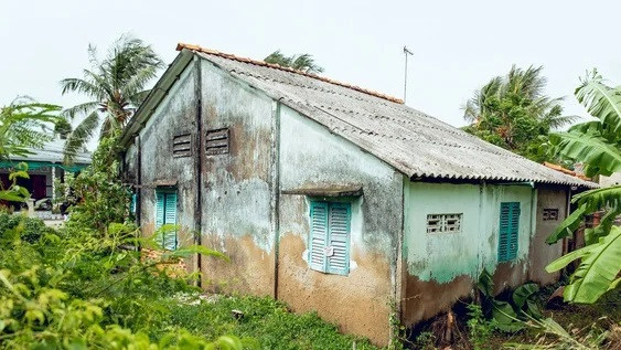 8a5ebca98f52f95c70c2.jpg