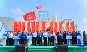 8a6d7202956604172a27.jpg