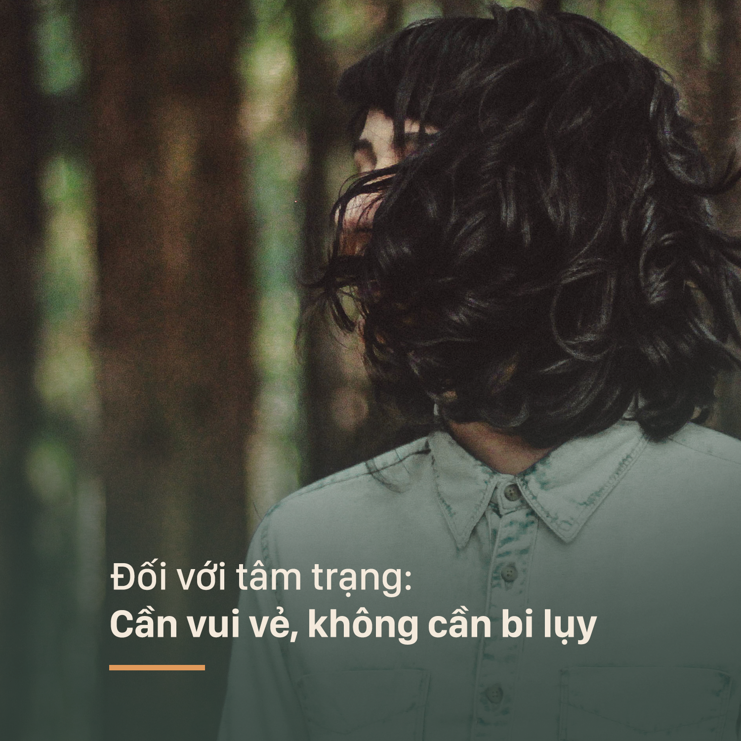 8a8582b7a2880d06f8a4.png