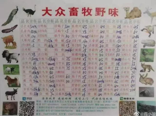 8adf50d44de5d6d101a1.jpg