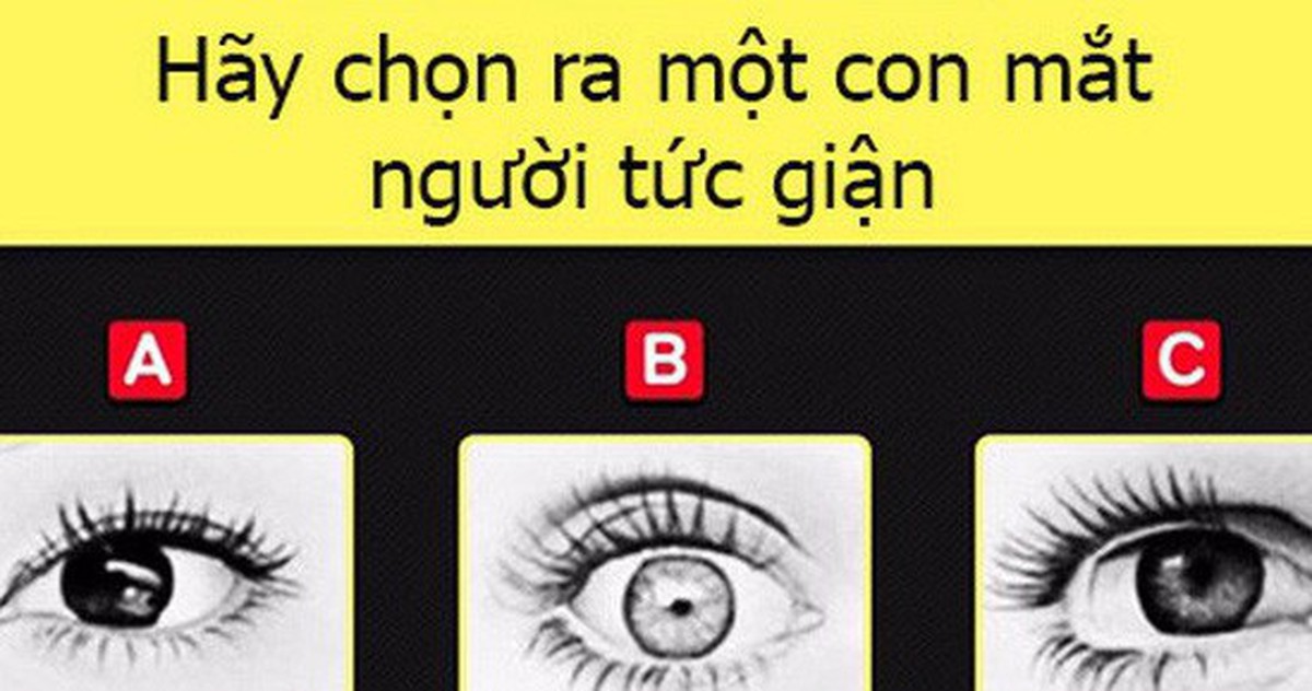 8ae38899e3e0197b89ff.jpg