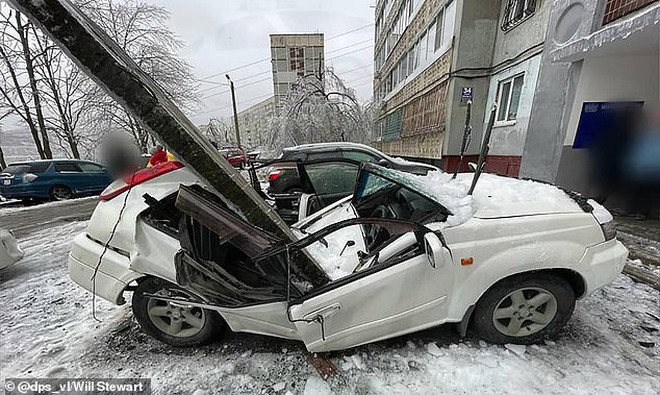 8ae89ff47c487282ebe2.jpg