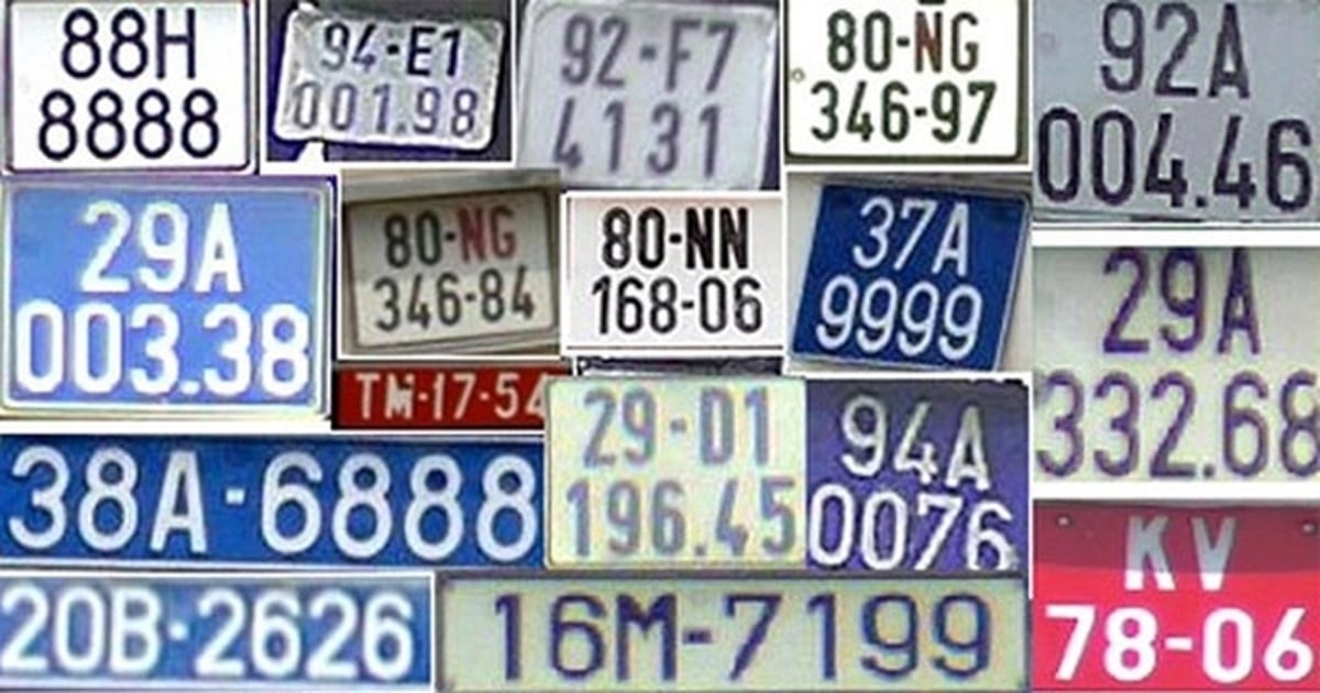 8aed2046c9bbfcff14e1.jpg