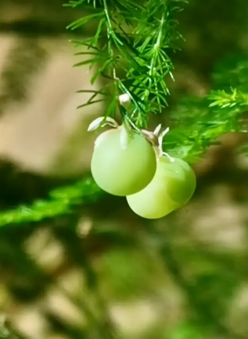 8b1669436cdc10c593c8.png