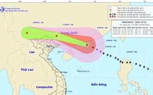 8b2d9167e79a5d801a77.jpg