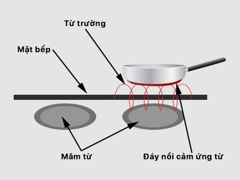8b524455214775e8fd15.png