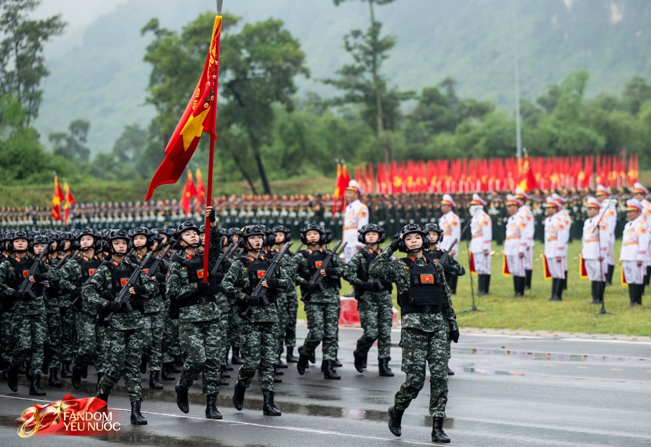 8bc530ccc1de49de0ccf.jpg