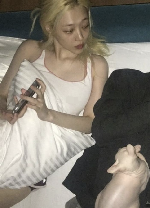 8c1007881bf2d3dd2d93.png