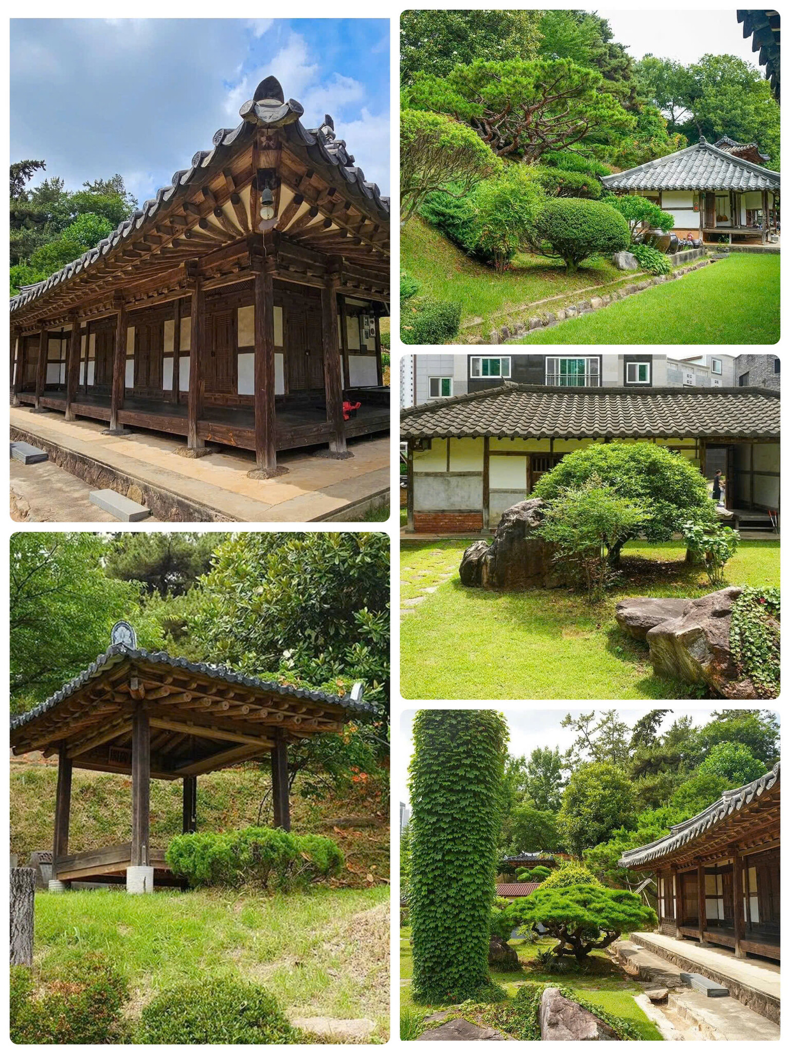 Khám phá Nhà Kim Bong-ho - Viên ngọc cổ kính giữa lòng Gwangju hiện đại ✨