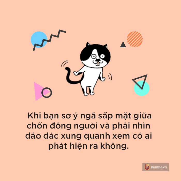 8c25fb27bcf5a3818e3a.jpg