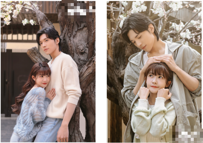 8c428a4bcd324cd502da.png