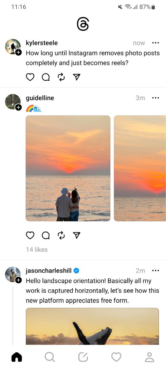 8c606132e0a563d2c9bd.jpg