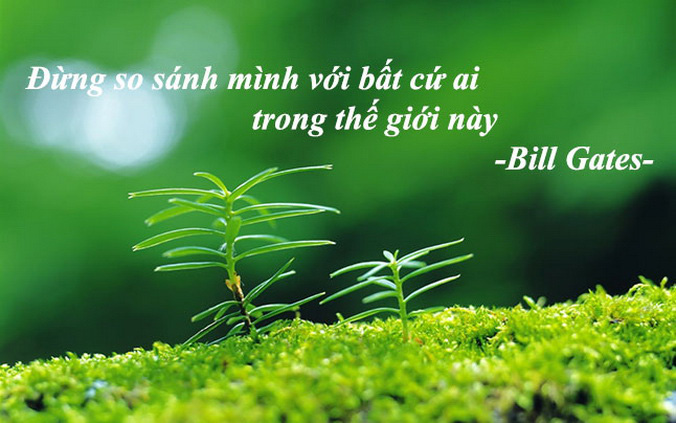 8c7ad444c866a6378064.jpg