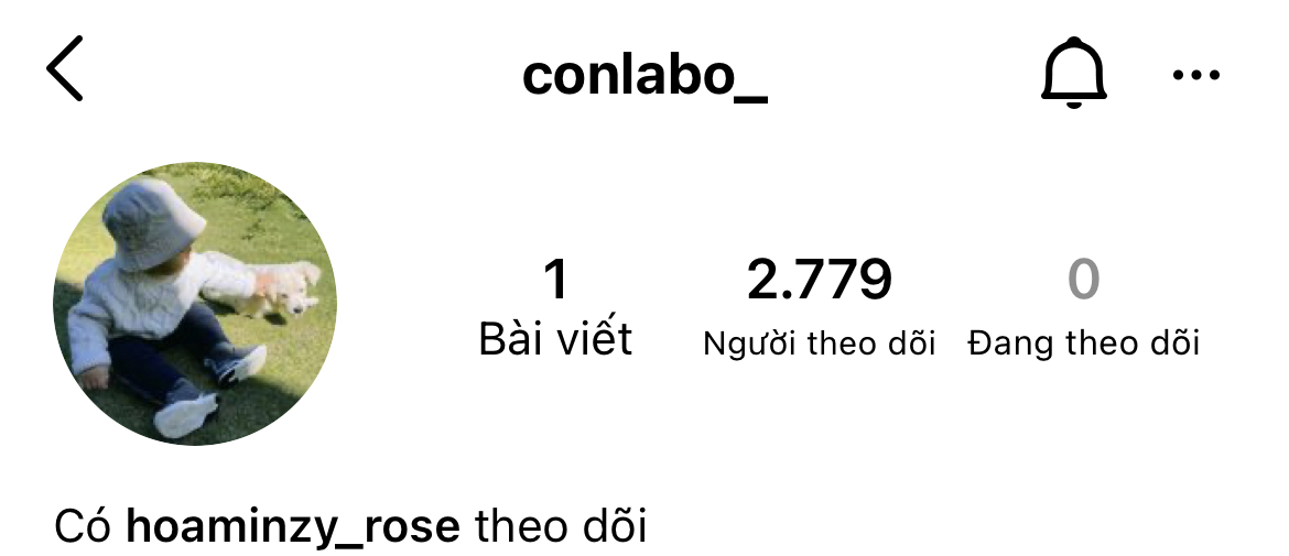 8ca207c79df17ca7bfba.jpg