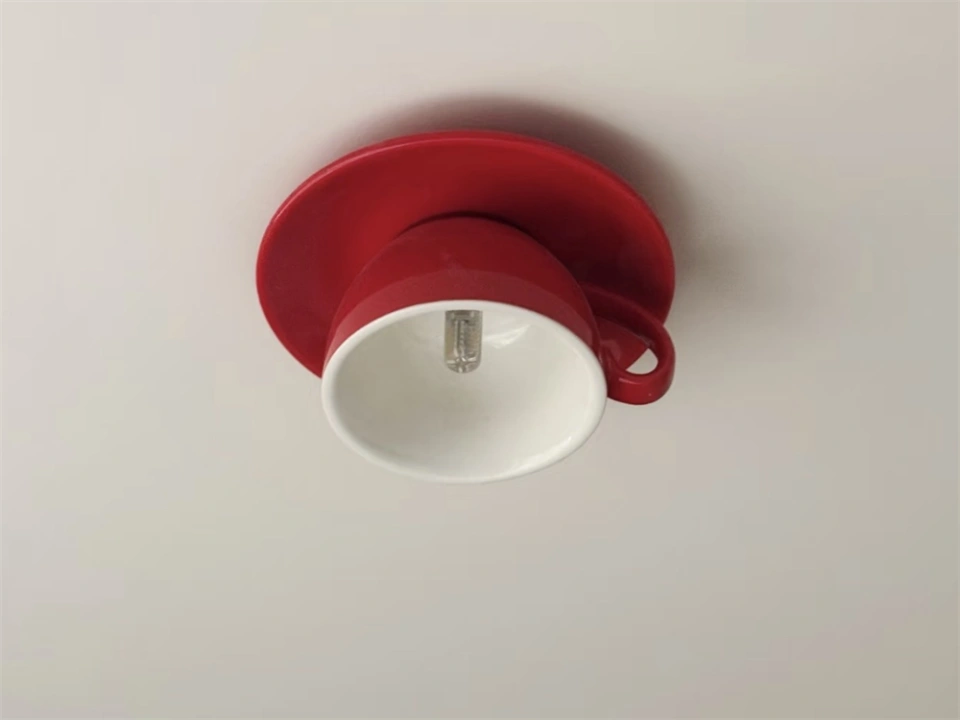8ca29145fd6d63f91132.png