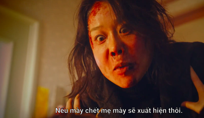 8cba95f3a0e7721f73e1.png