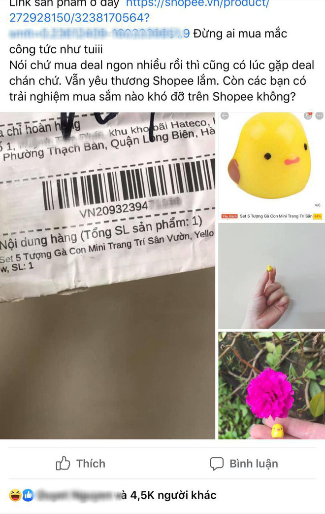 8cbcafb2dd62293281f4.png