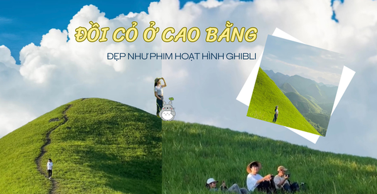8cd762f799d8a0e813b9.png