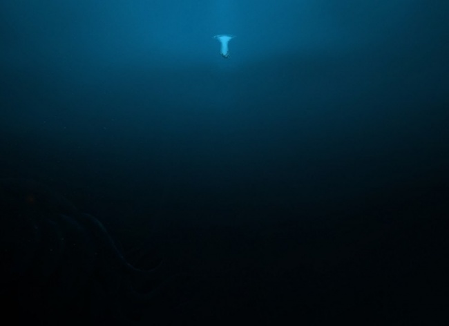 8cf5ef8554ae7a67f212.jpg