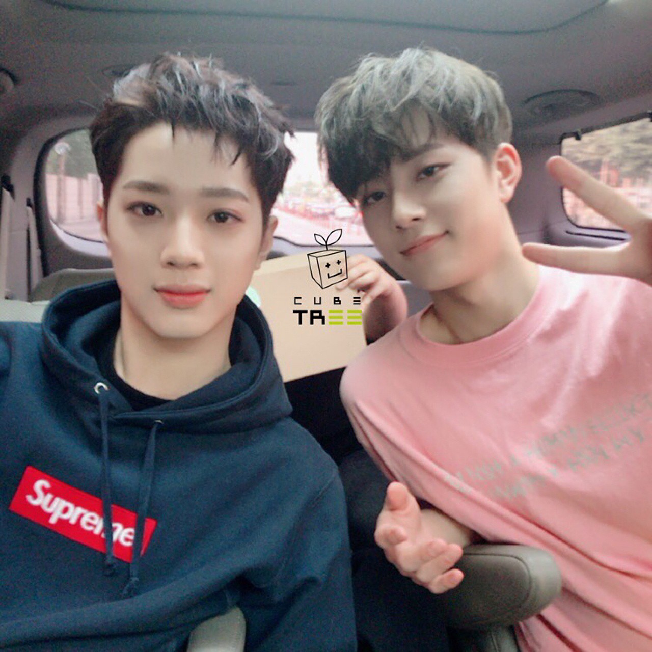 8cfef5e24d83488ca8d1.jpg