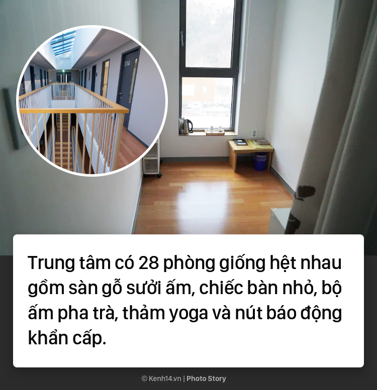 8d31a5be540f4e3b0917.png