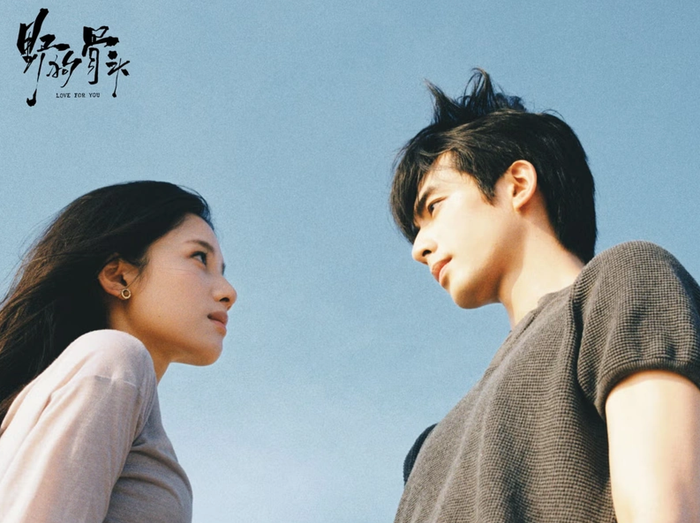 8d4272004bd717e26f0a.png