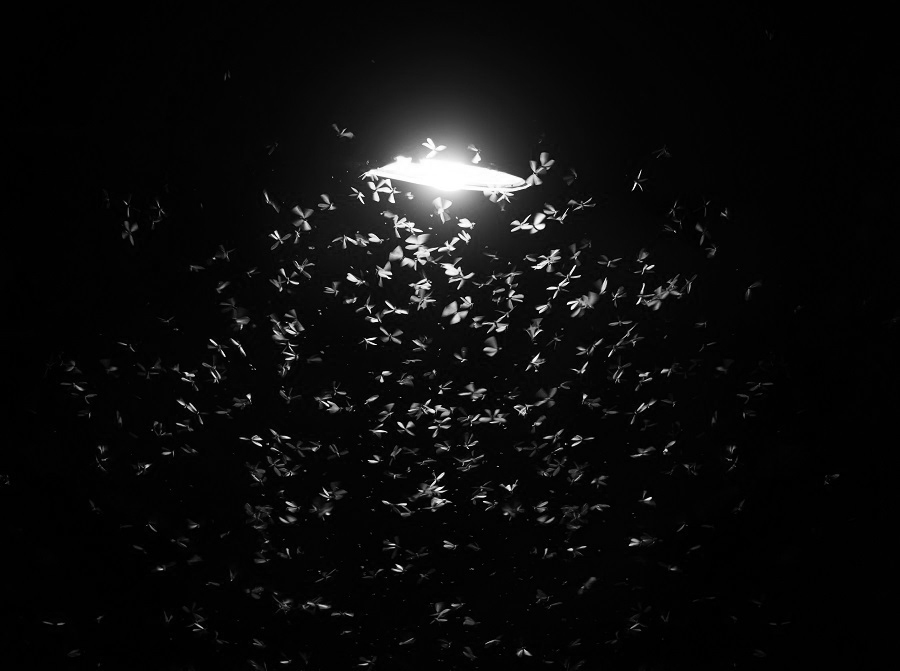 8d4b4022ca31b0a4eb90.png