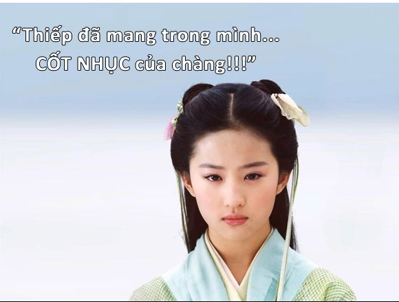 8d5e2fc5051d27a20bd1.jpg