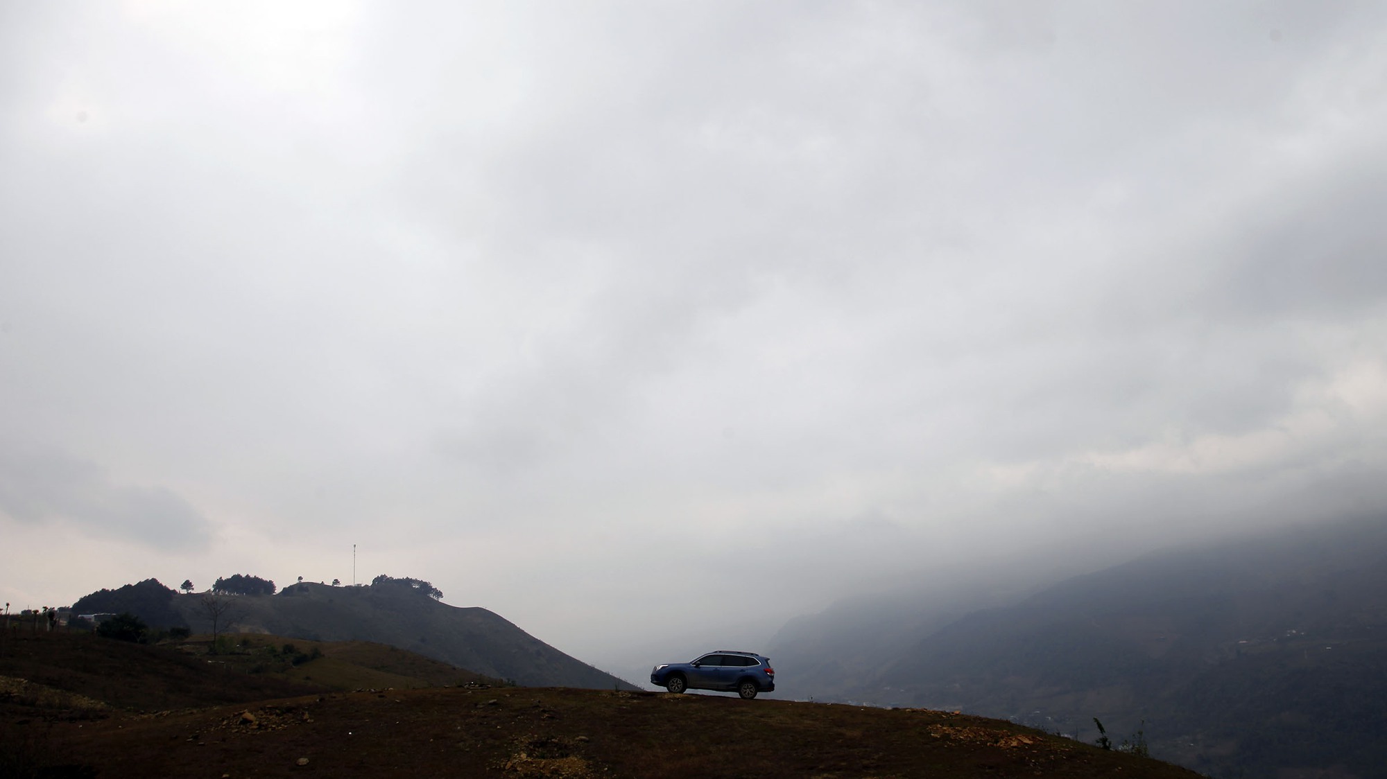 8d7137f103efa710549b.jpg