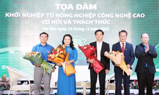8d99dce8199fbc90e8bb.jpg