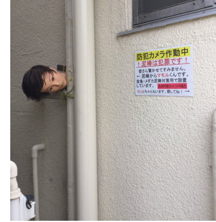 8d9cf79706c53aa174ec.png