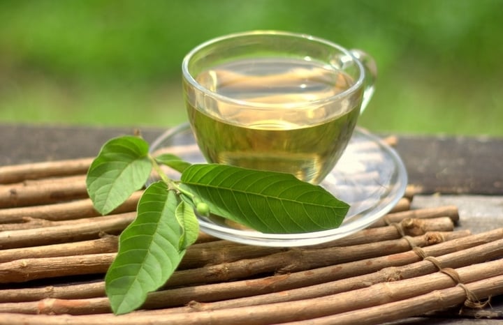 Uống nước lá ổi mỗi ngày thì body sẽ thế nào nhỉ?