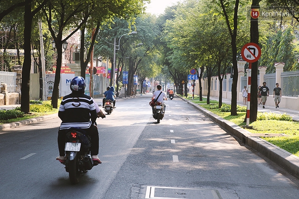 8db6bc989a2afecf5905.jpg