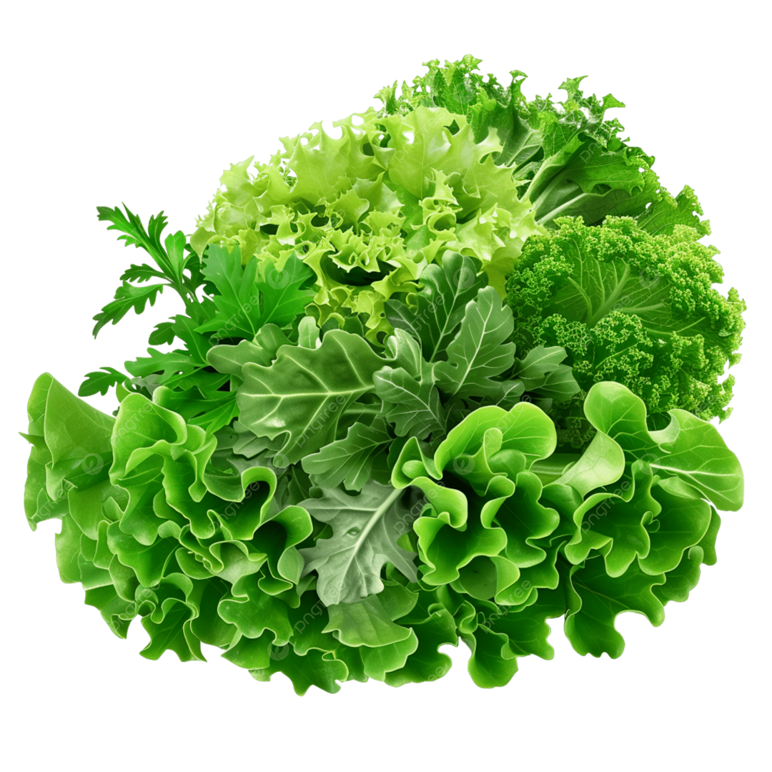 8e3a37cf9c8984b93575.png