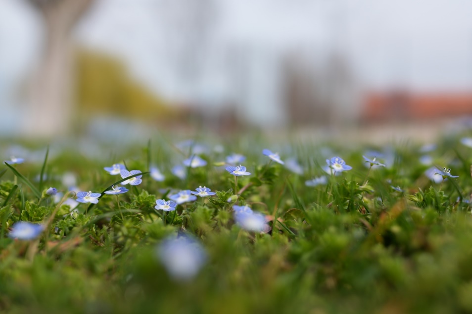 8e3d83274f5345d2dbb6.jpg