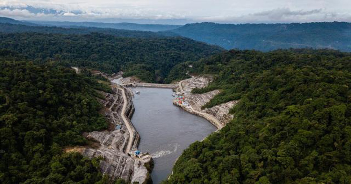 8e4117954cf1d9fc2250.jpg