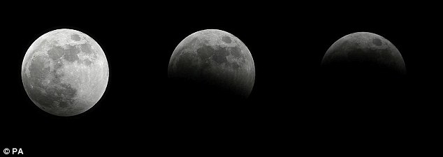 8e952db502117f9532bd.jpg